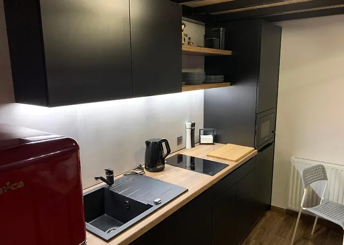 アパート Apartmentsun Loft Art ヴロツワフ